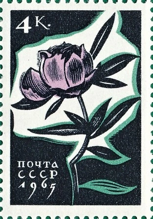 Пион