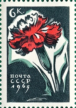 Гвоздика