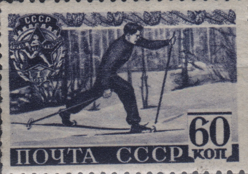 Бег на лыжах
